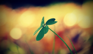 巅峰对决，热血铸就传奇——全力以赴，为胜利而生