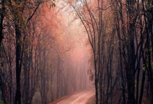 爱游戏中国官网-欧预赛实力对比,胜负赛果难以揭晓,欧预赛赛程2021