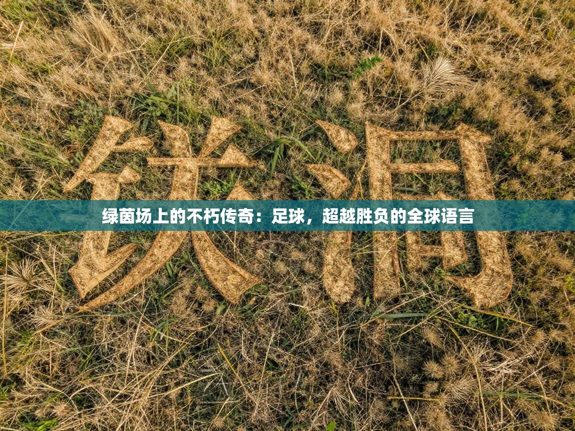 绿茵场上的不朽传奇：足球，超越胜负的全球语言  第2张
